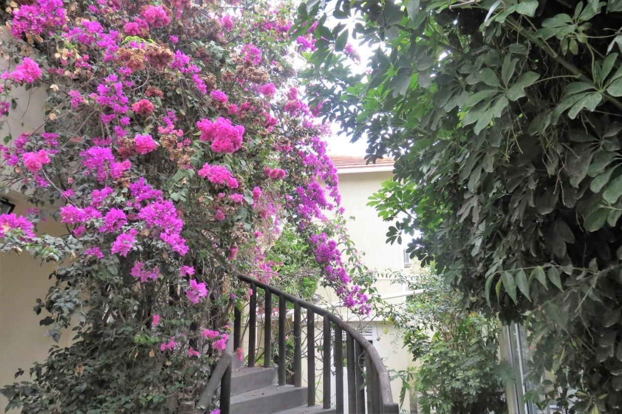 Sacha Tourist Residence 2 马埃堡 外观 照片
